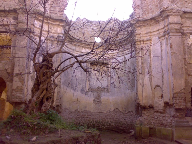 Riserva naturale monterano.jpg